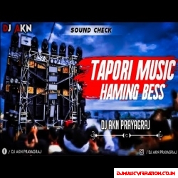Tapori Dunce Music Haming Bess Edm Mix { System Faad Denge } Dj Akn Prayagraj