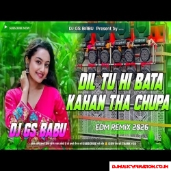 Dil Tu Hi Bataa Dj Remix | Bollywood Romantic Dj Remix Song | Edm Remix